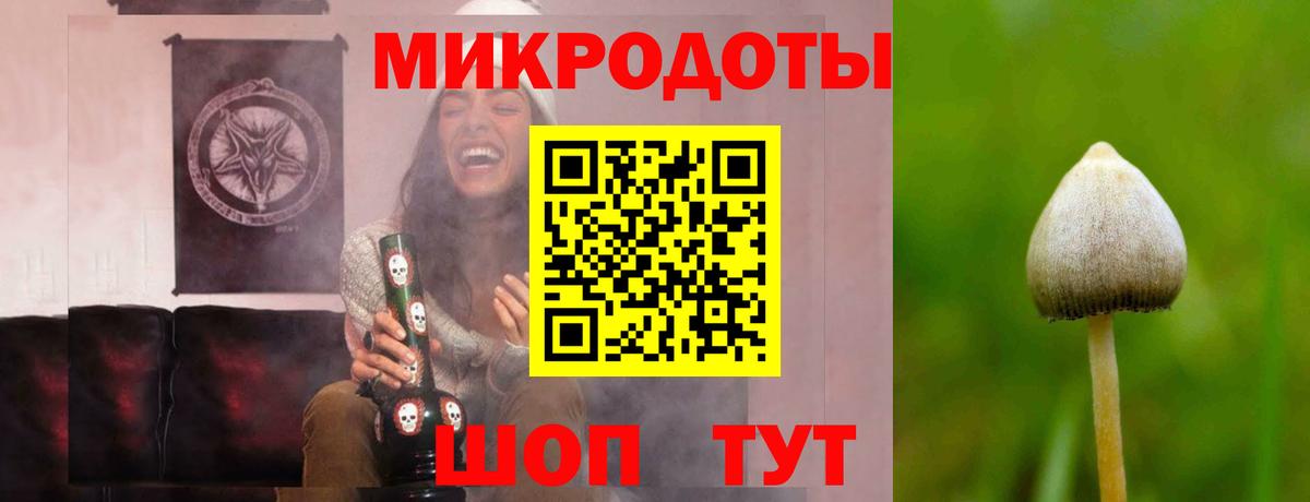 Рассказово  Псилоцибиновые грибы Psilocybine cubensis  Вход с VPN 